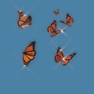 Meet your Posher, June